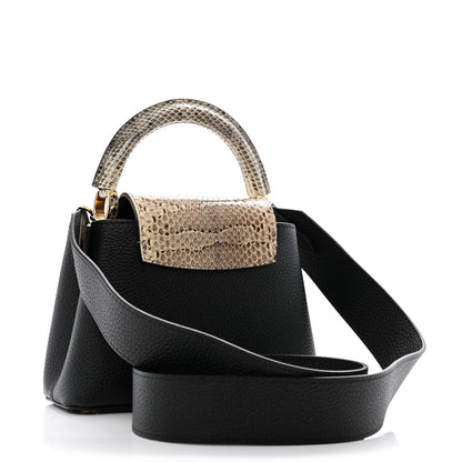 Louis Vuitton Taurillon Ayers Mini Capucines Black 3 of 12