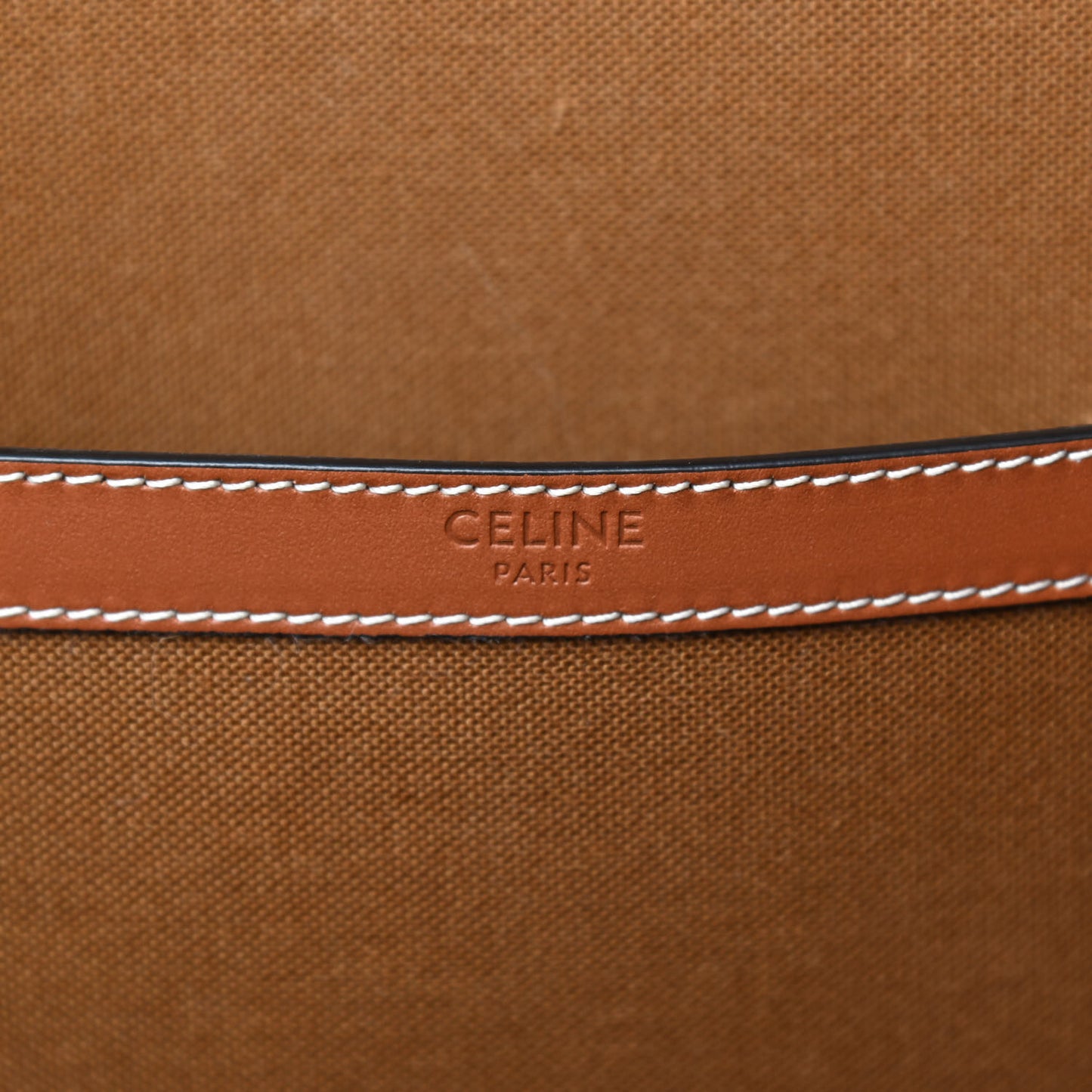 Triomphe Canvas Medium Cabas Bag Tan