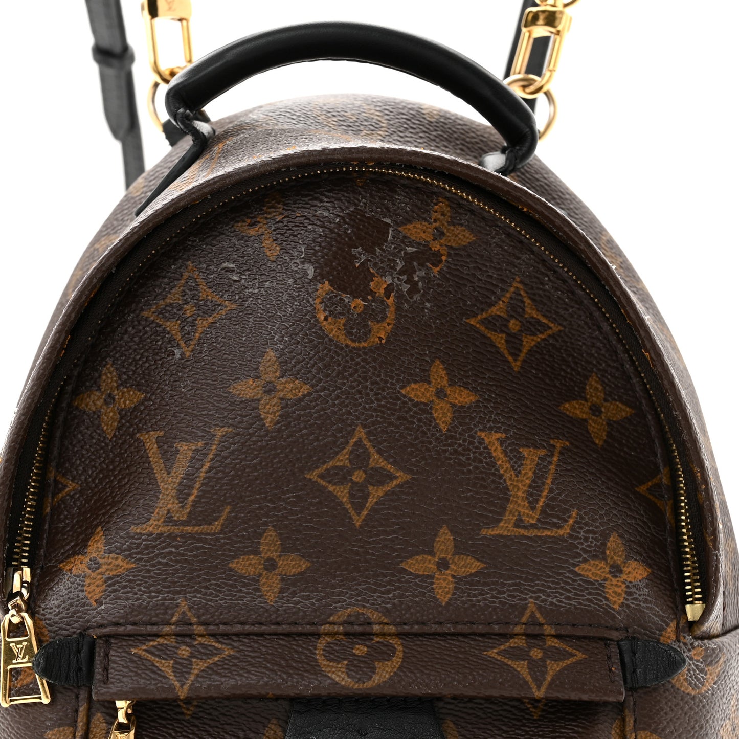 Monogram Palm Springs Backpack Mini