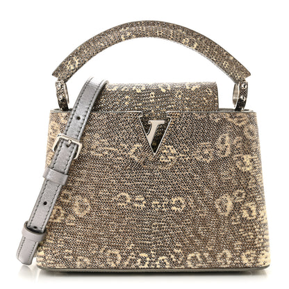Louis Vuitton Lizard Mini Capucines Argento 1 of 10