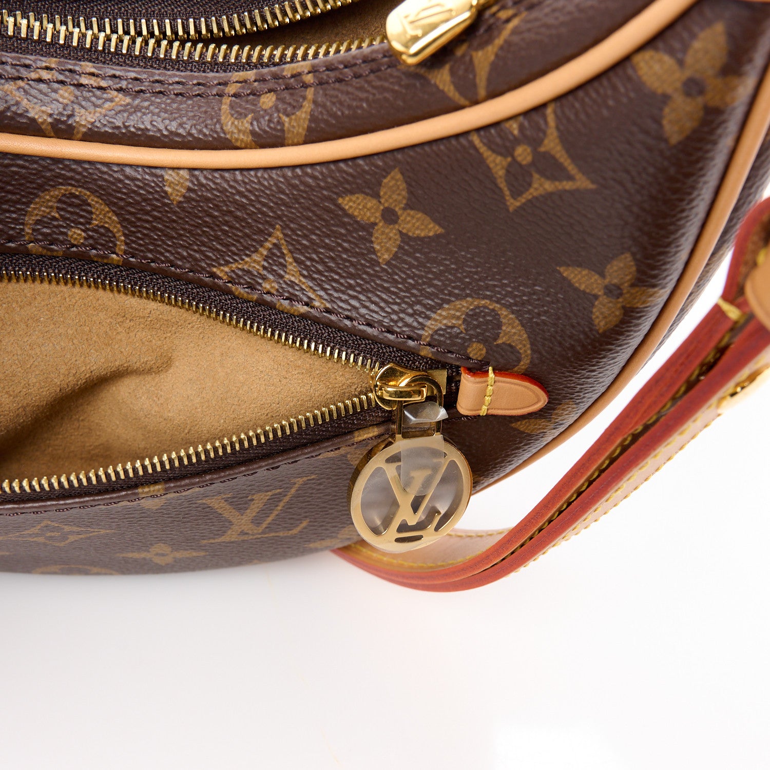 Louis Vuitton Monogram Loop 11 of 12