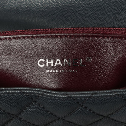 Chanel Caviar Lizard Quilted Large Coco Handle Flap Grey 5 of 10