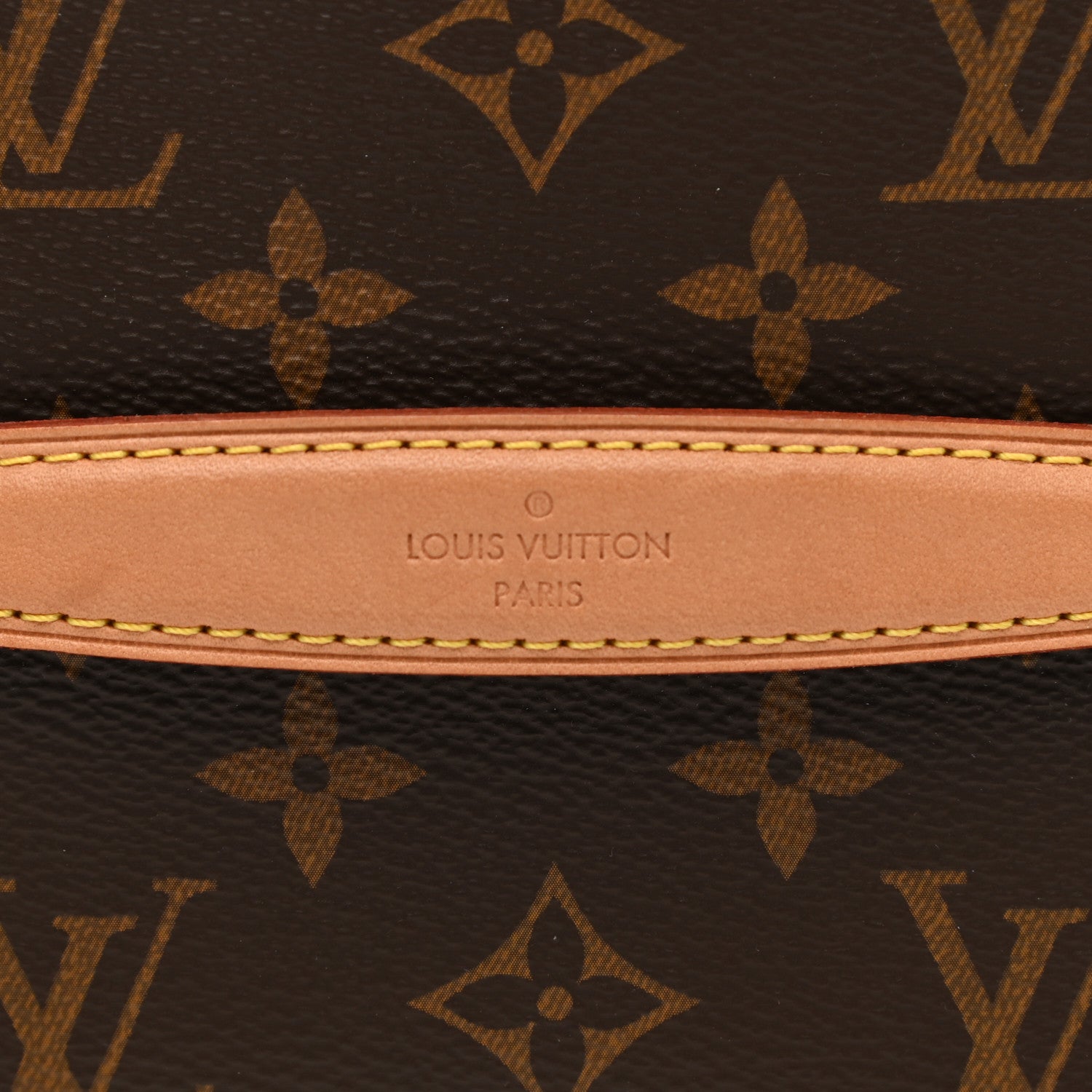 Louis Vuitton Monogram Nice Mini 12 of 12