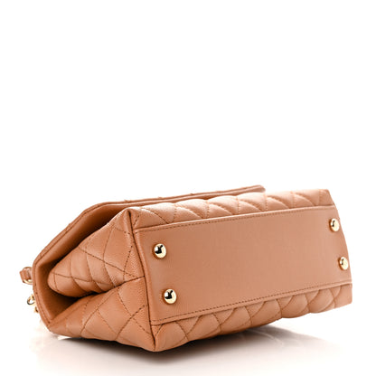 Chanel Caviar Quilted Mini Coco Handle Flap Brown 4 of 11