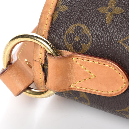 Louis Vuitton Monogram Delightful PM 19 of 19