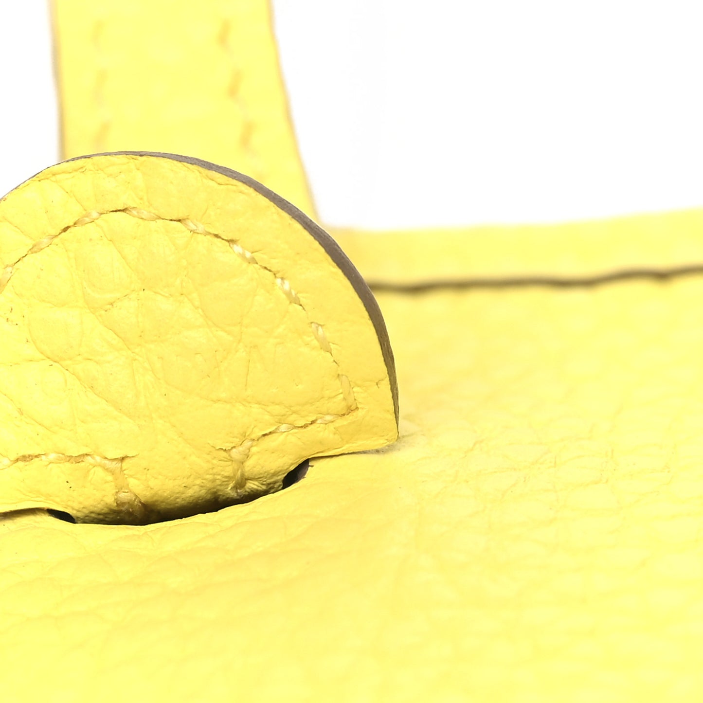 Taurillon Clemence Evelyne TPM Limoncello Limoncello