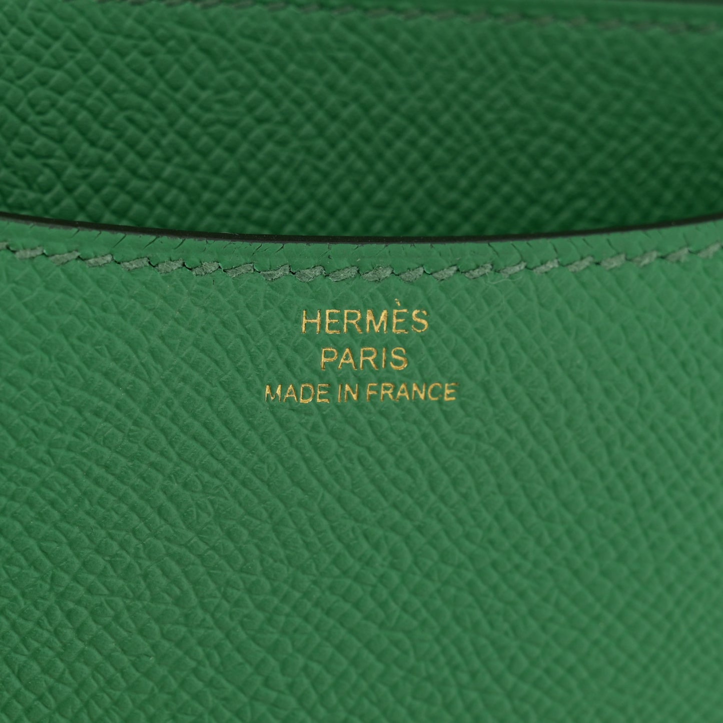 Epsom Constance 18 Cactus