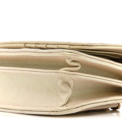 Chanel Iridescent Lambskin Quilted Mini Wallet On Chain WOC Ivory 10 of 14
