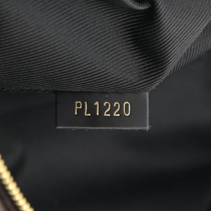 Louis Vuitton Monogram Palm Springs Backpack Mini 7 of 12