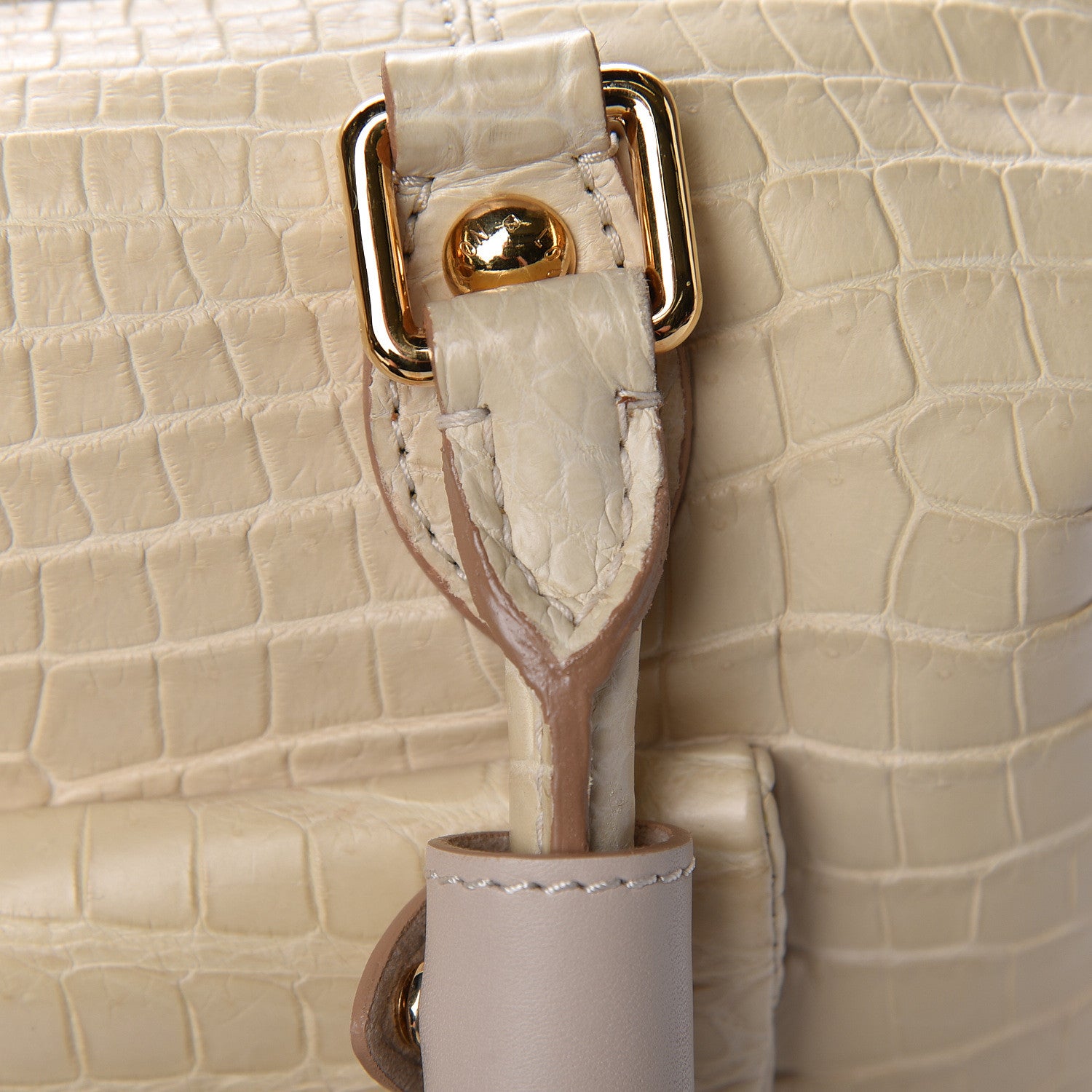 Louis Vuitton Crocodile Sac Louis Beige 16 of 18