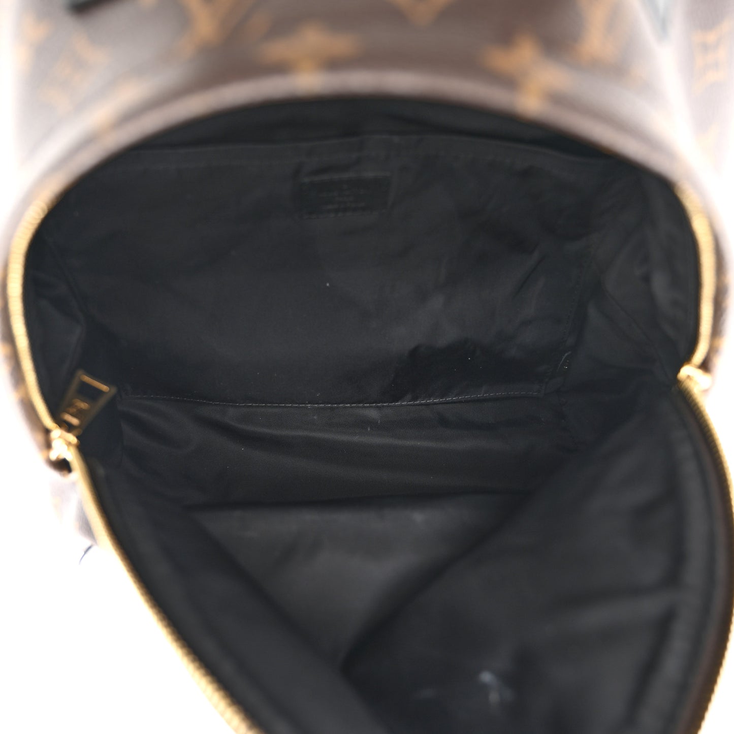 Monogram Palm Springs Backpack MM
