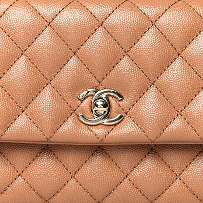 Chanel Caviar Quilted Mini Coco Handle Flap Brown 8 of 10