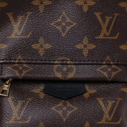 Louis Vuitton Monogram Palm Springs Backpack Mini 8 of 12