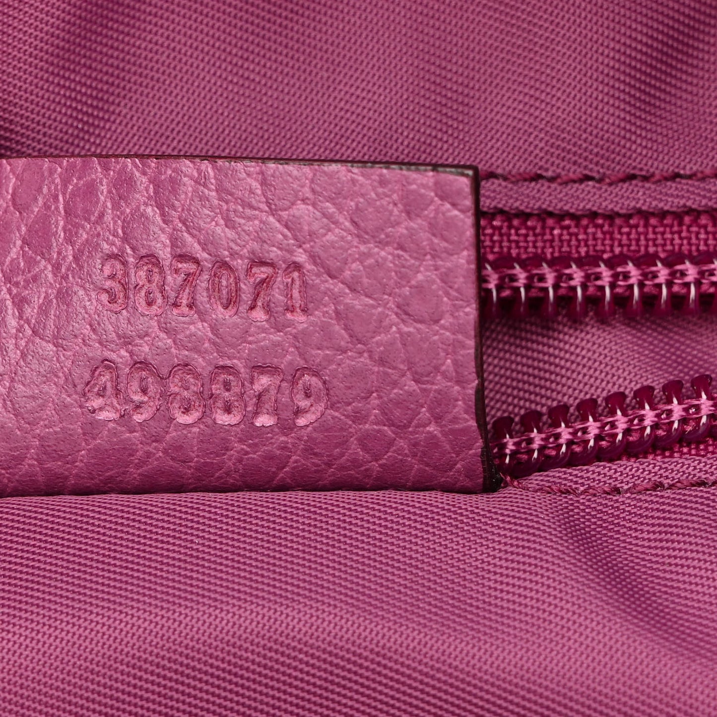 Nylon Monogram Dollar Calfskin Medium Light Double Buckle Backpack Peonia Flower