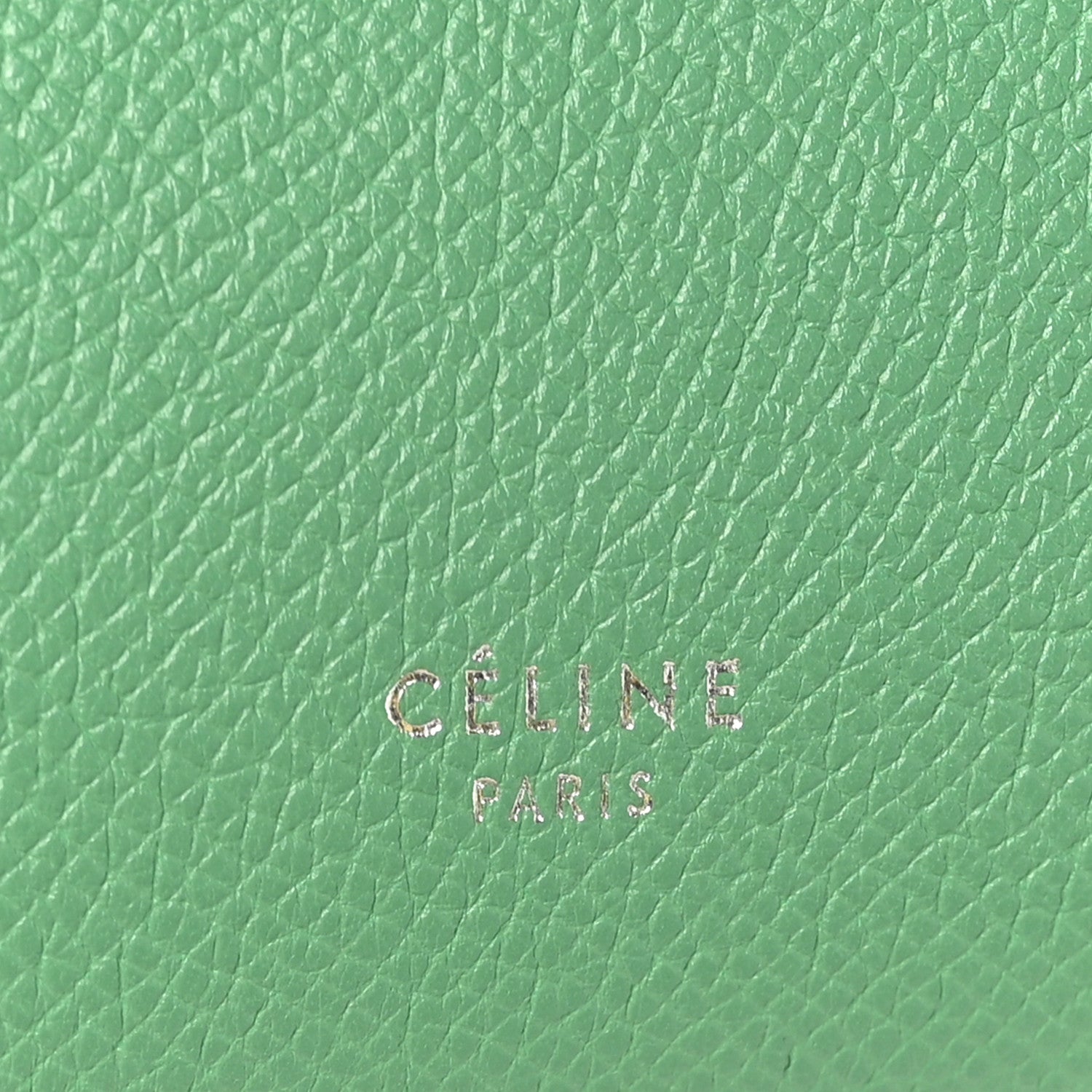 Celine Grained Calfskin Micro Belt Bag Pop Green 1906315