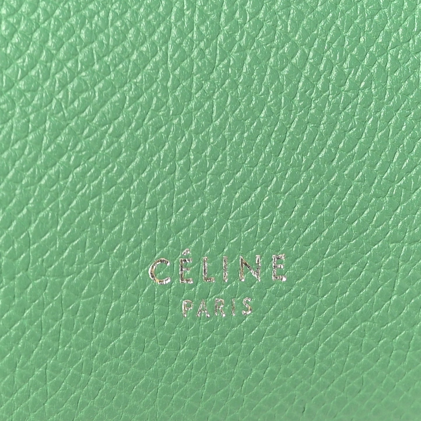 Grained Calfskin Micro Belt Bag Pop Green