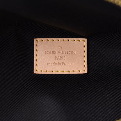 Louis Vuitton Monogram Bumbag 6 of 10