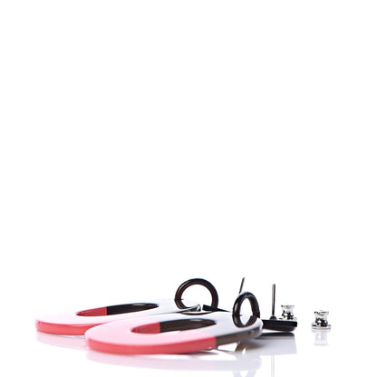 Hermes Buffalo Horn Isthme Earrings 3 of 5