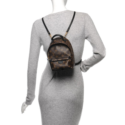 Louis Vuitton Monogram Palm Springs Backpack Mini 2 of 7
