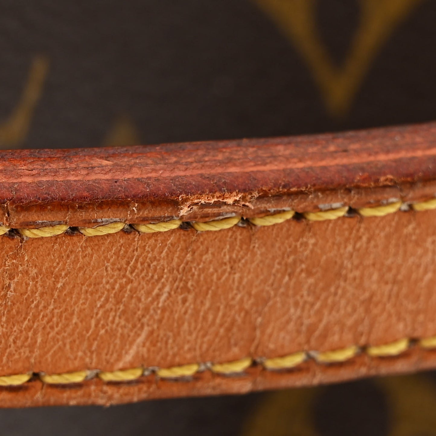 Monogram Mini Noe