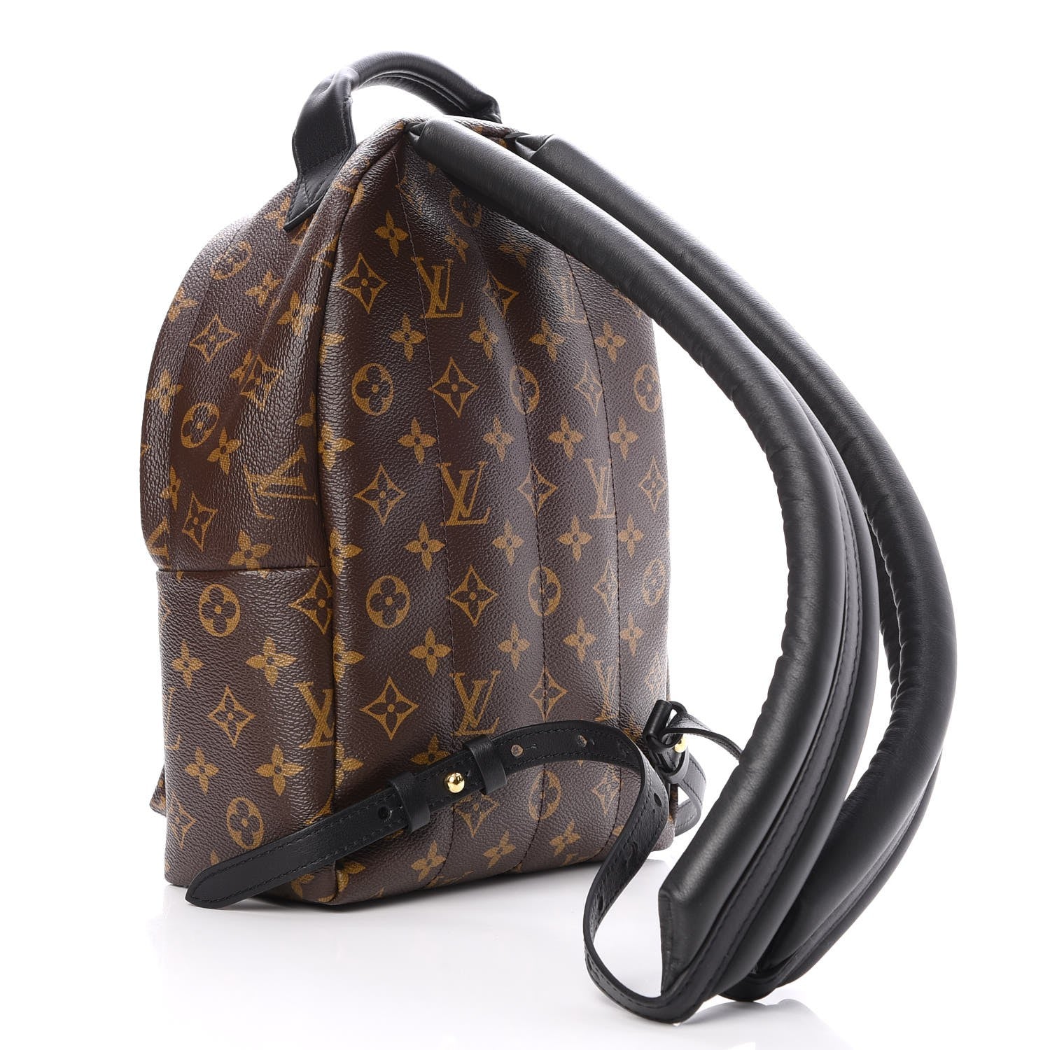 Louis Vuitton Monogram Palm Springs Backpack PM 3 of 7