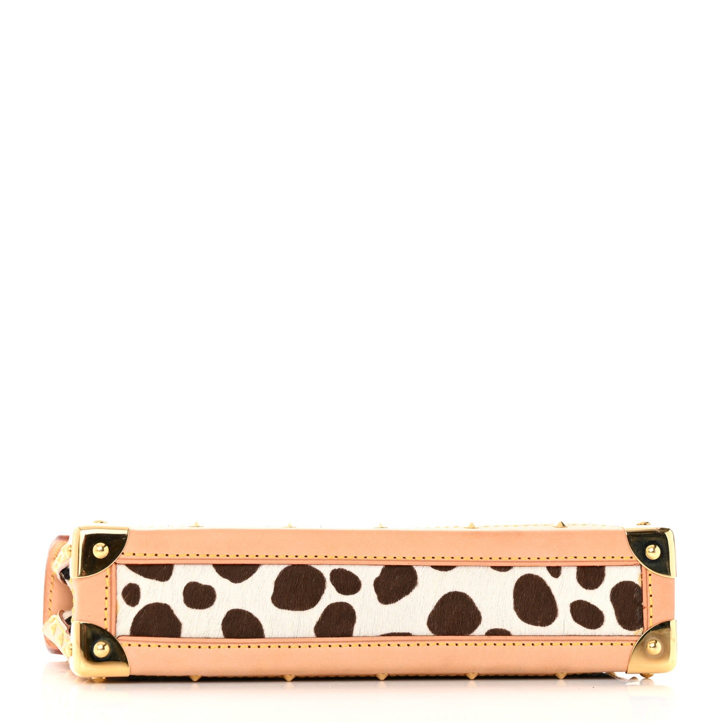 Monogram Multicolor Dalmatian Pochette