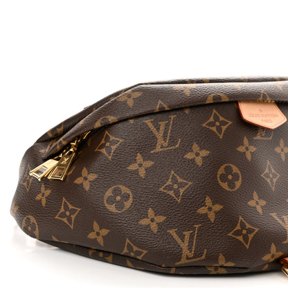 Louis Vuitton Monogram Bumbag 8 of 9