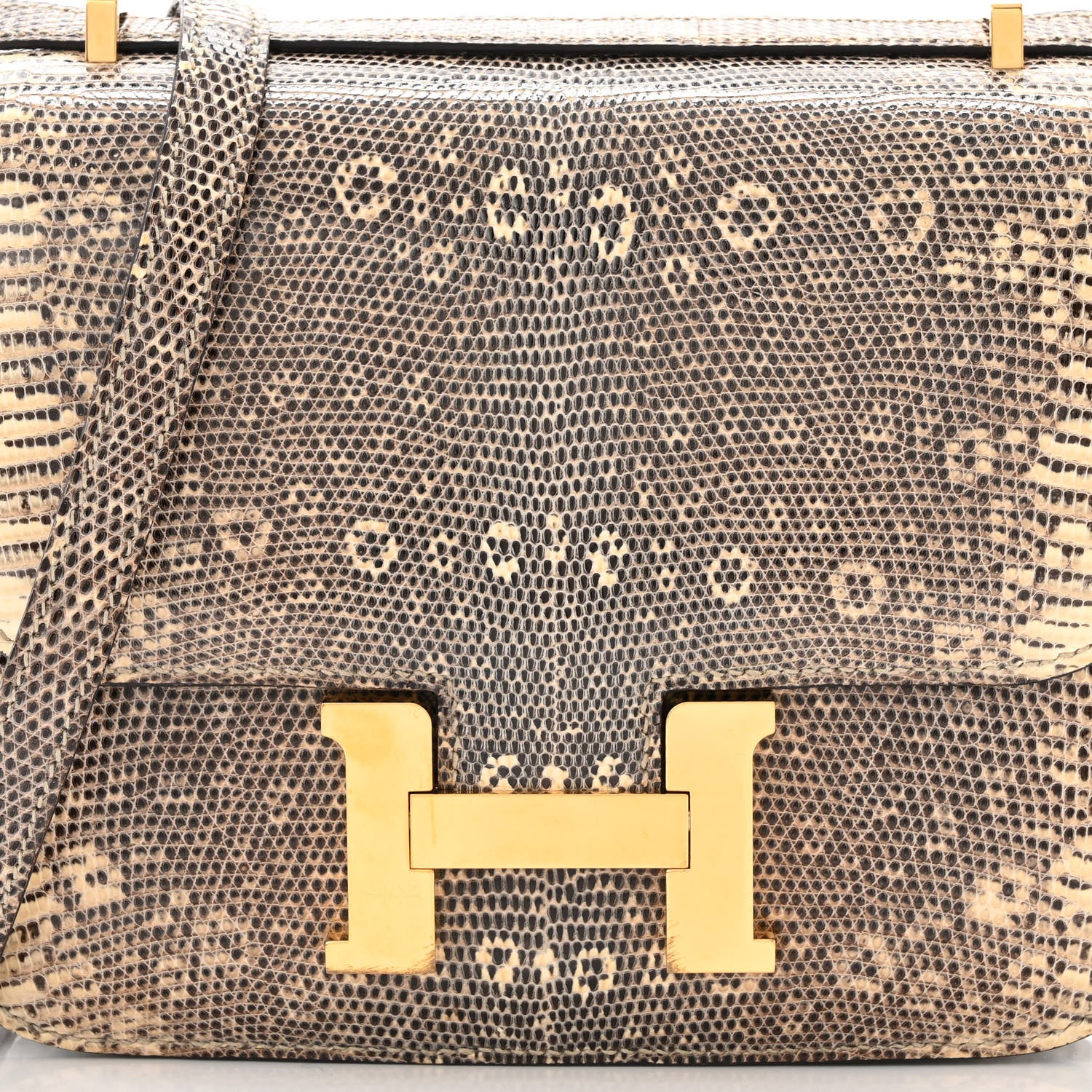 Hermes Lizard Constance 18 Ombre 8 of 11