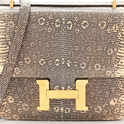 Hermes Lizard Constance 18 Ombre 8 of 11