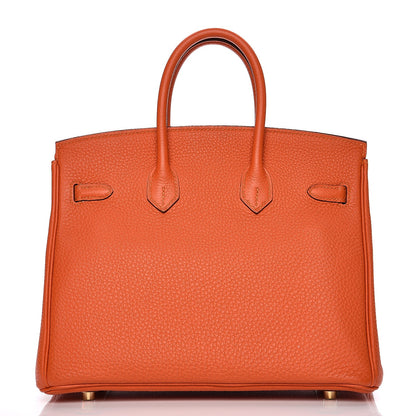 Hermes Togo Birkin 25 Feu 31 of 33