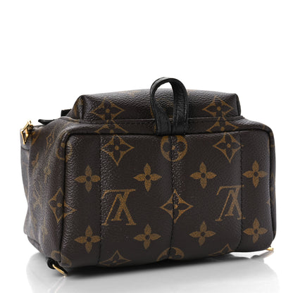 Louis Vuitton Monogram Palm Springs Backpack Mini 4 of 9