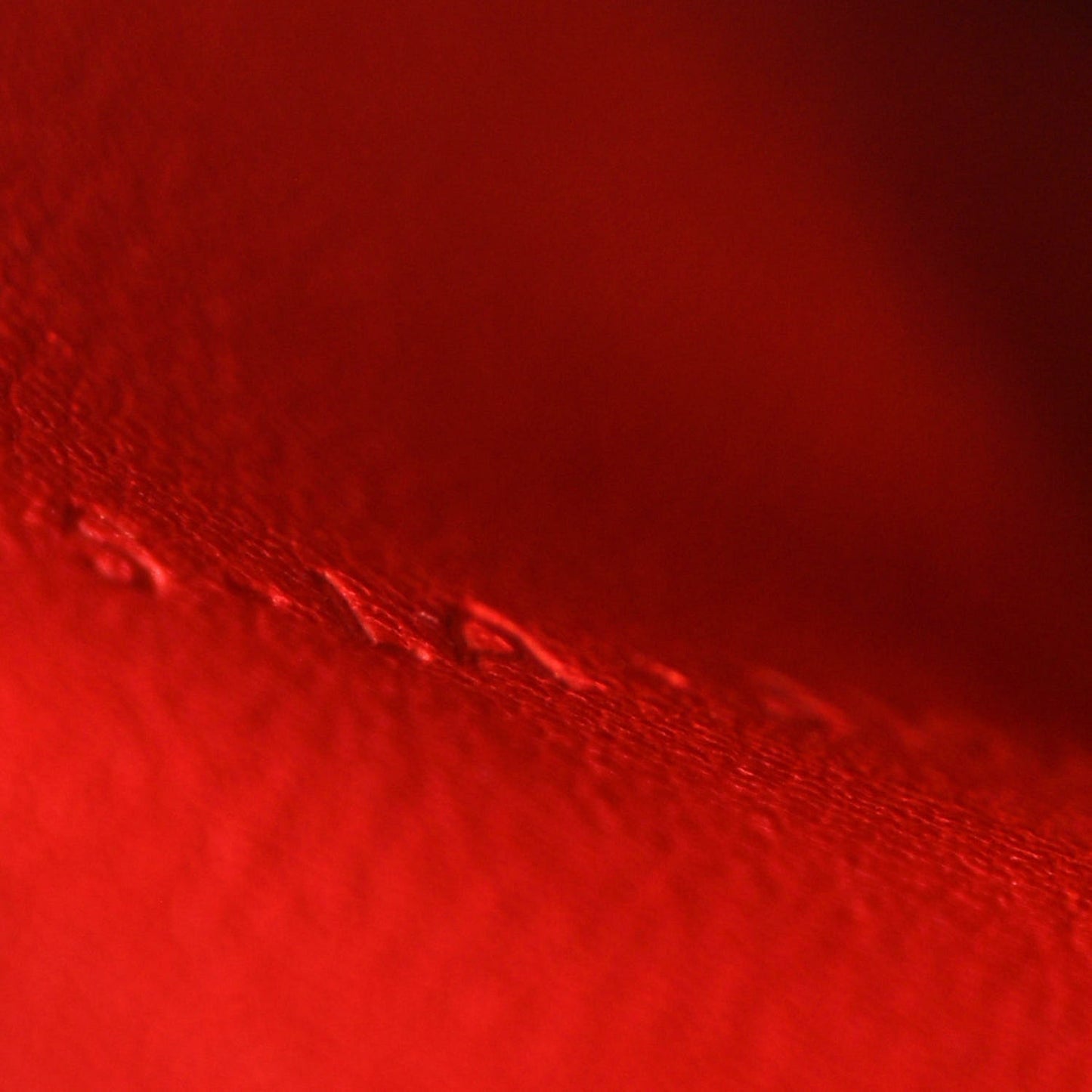 Goatskin Medium Classic Box Flap Bag Cinnamon