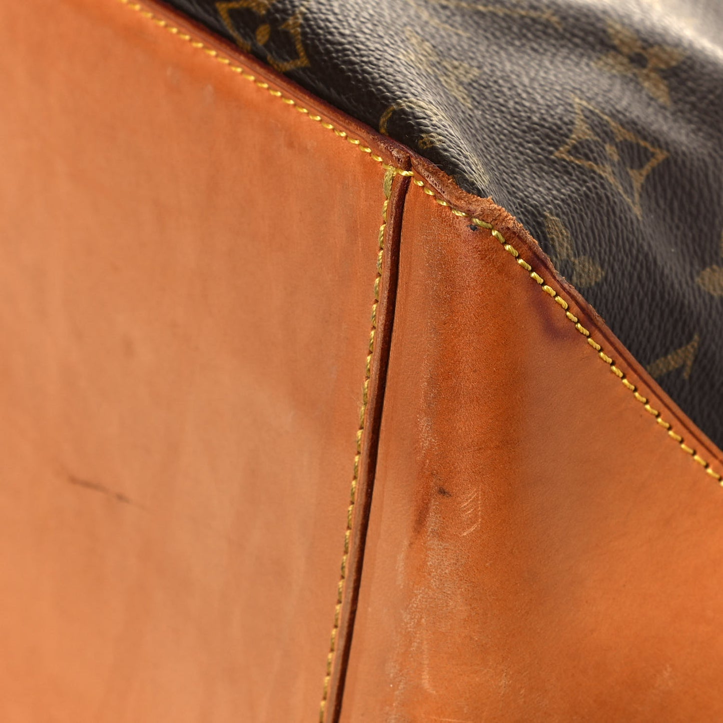 Monogram Cabas Mezzo