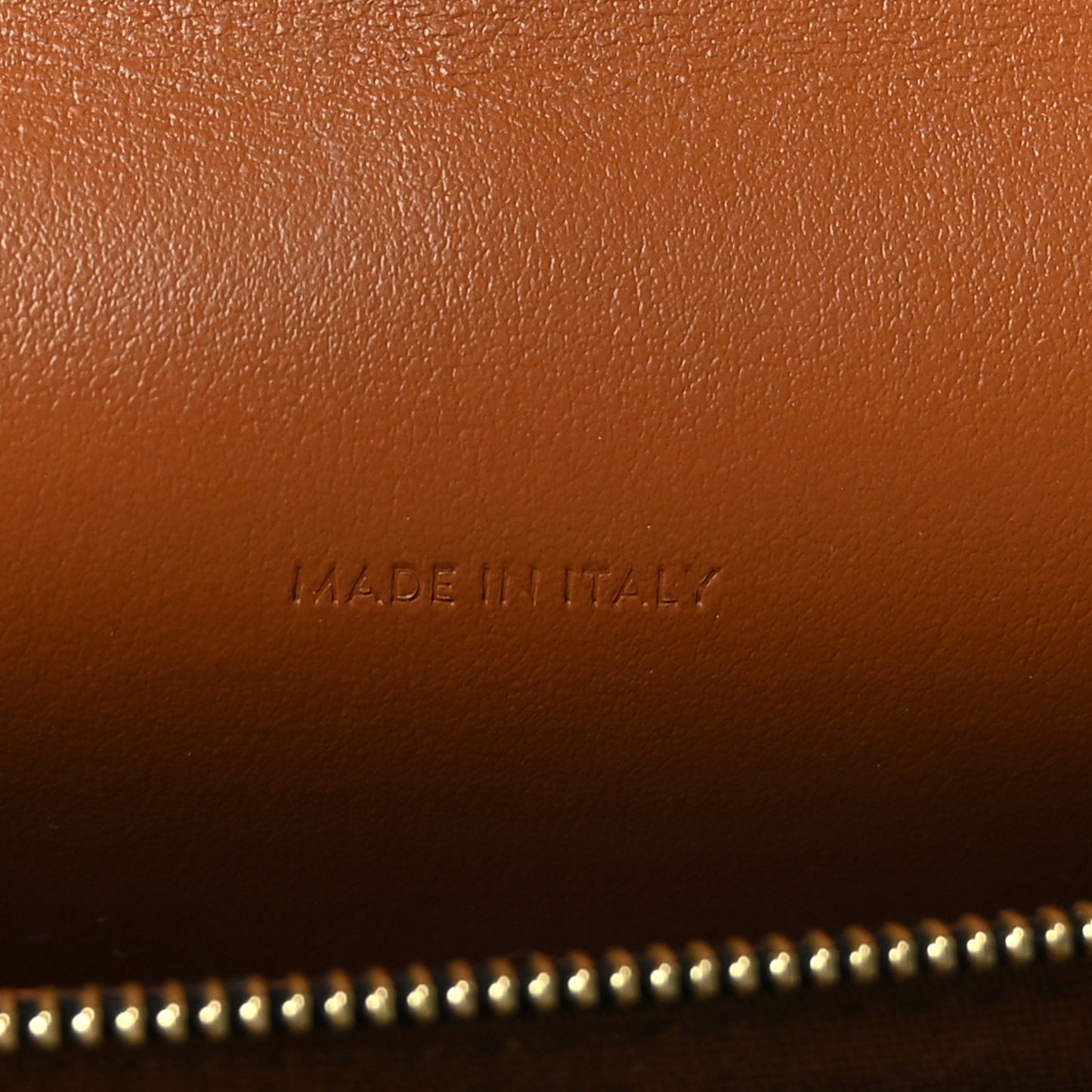 Triomphe Canvas Lambskin Wallet On Strap Tan