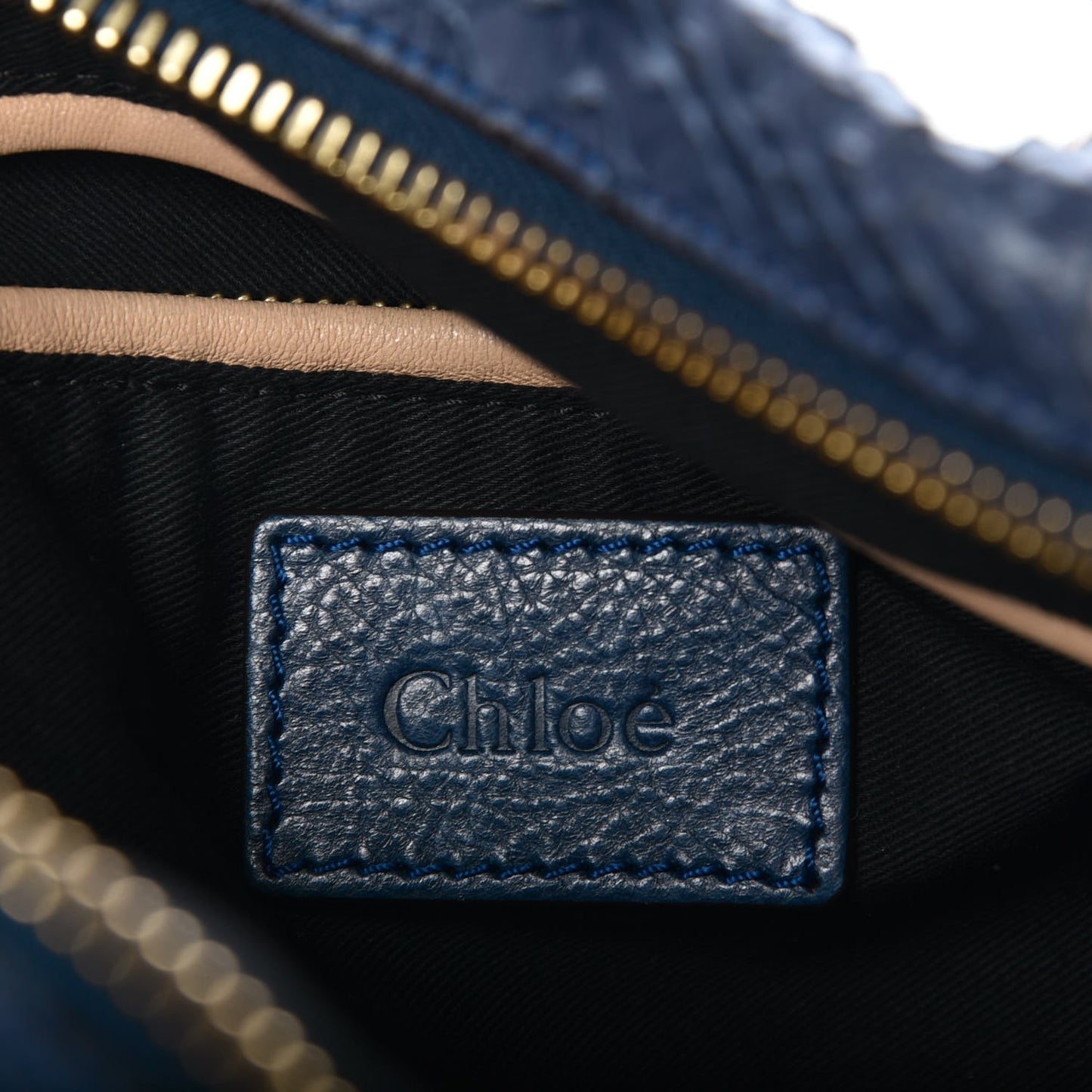 Python Calfskin Medium Paraty Blue Nuit