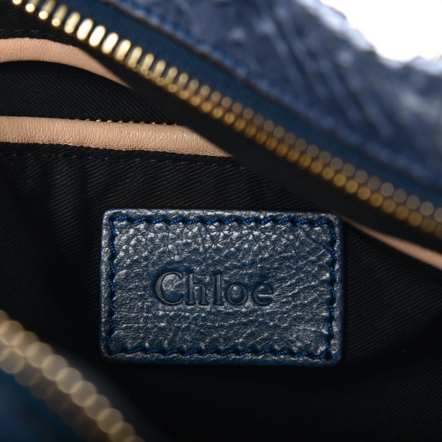 Chloe Python Calfskin Medium Paraty Blue Nuit 7 of 16