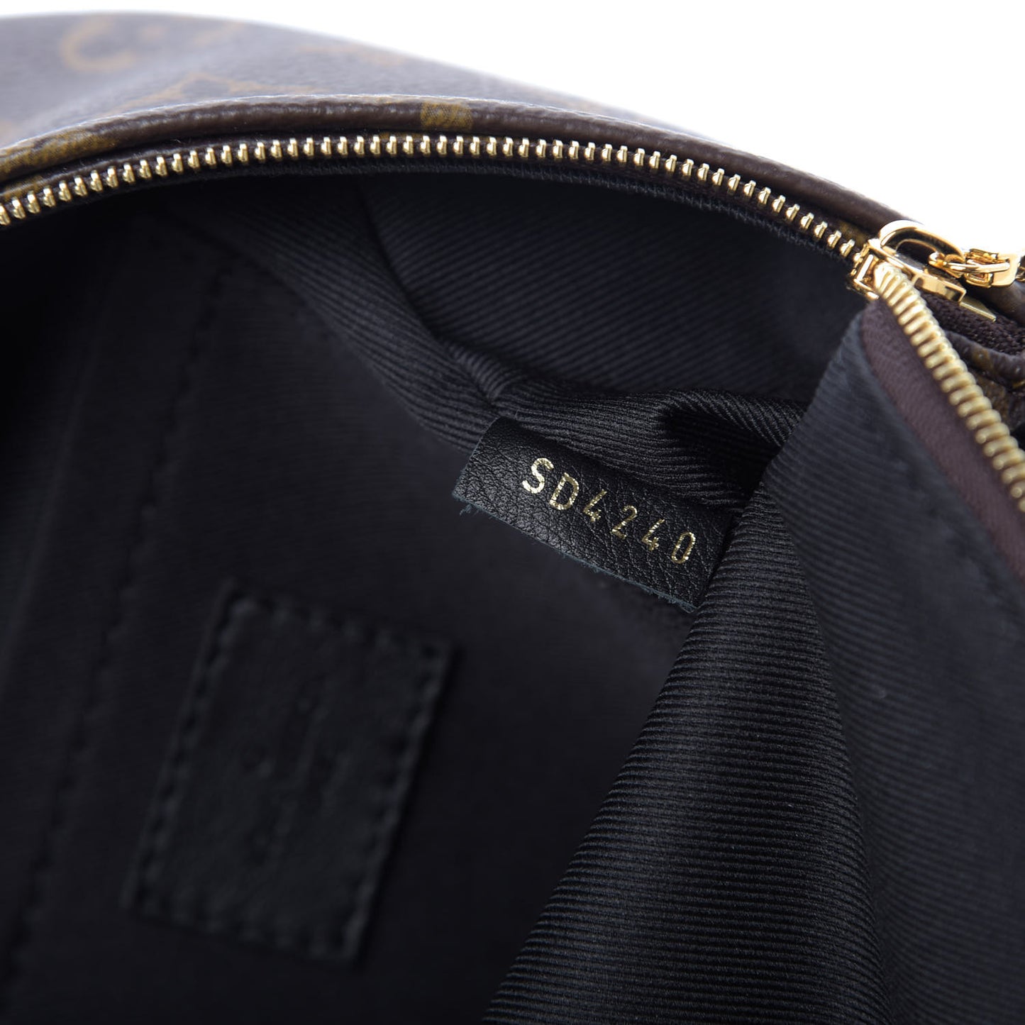 Monogram Palm Springs Backpack Mini