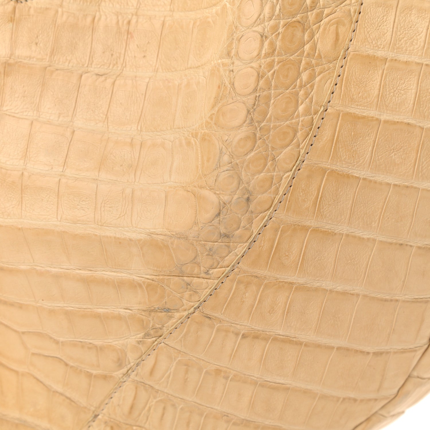 Nancy Gonzalez Crocodile Hobo Beige 10 of 12