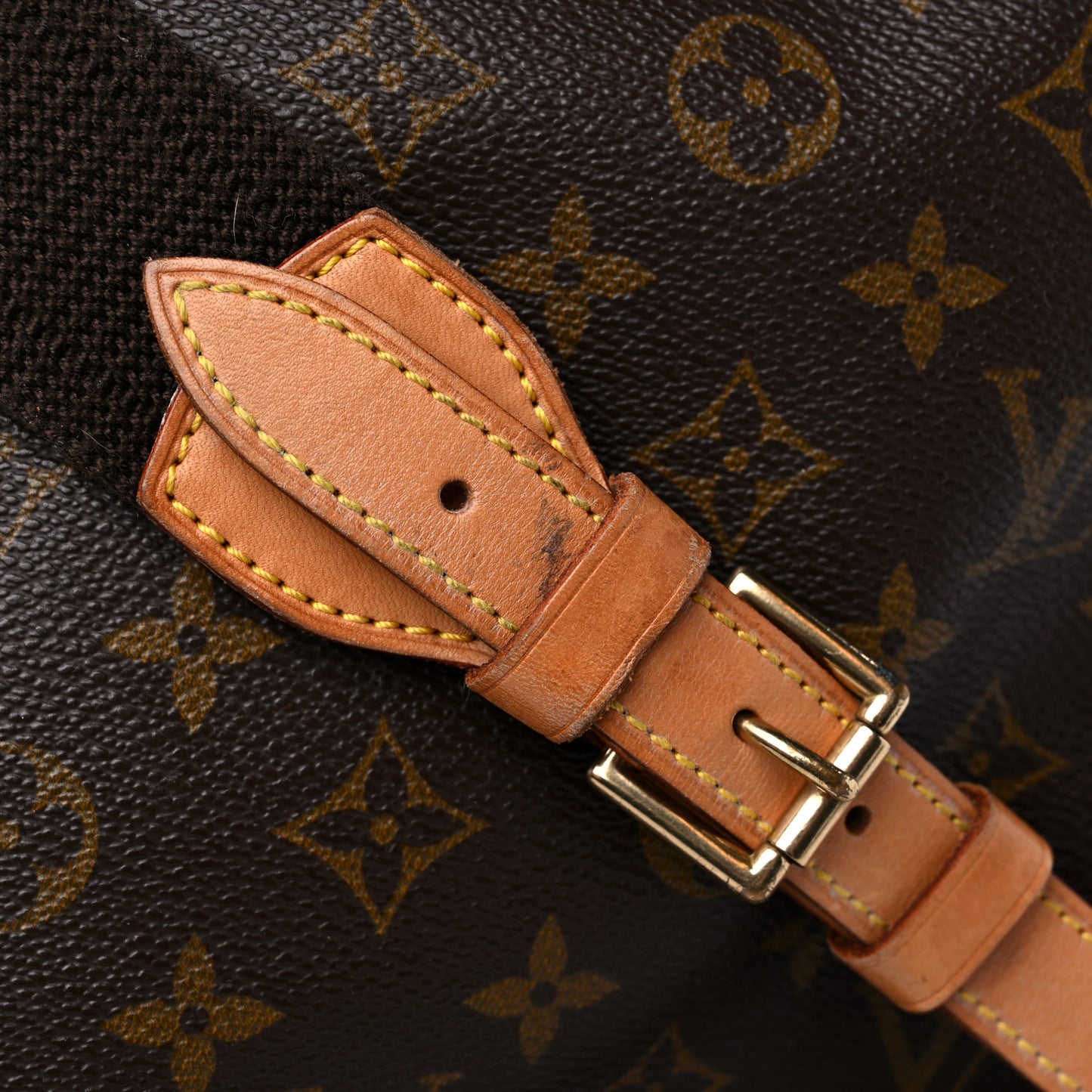 Monogram Montsouris GM Backpack