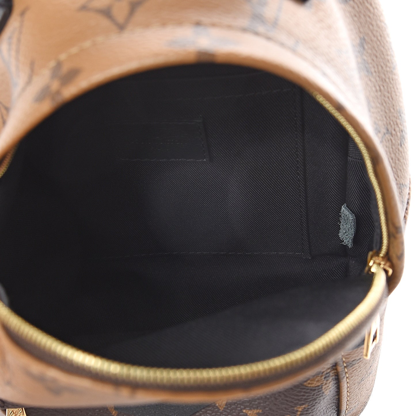 Reverse Monogram Palm Springs Backpack Mini