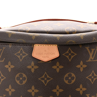Louis Vuitton Monogram Bumbag 7 of 9