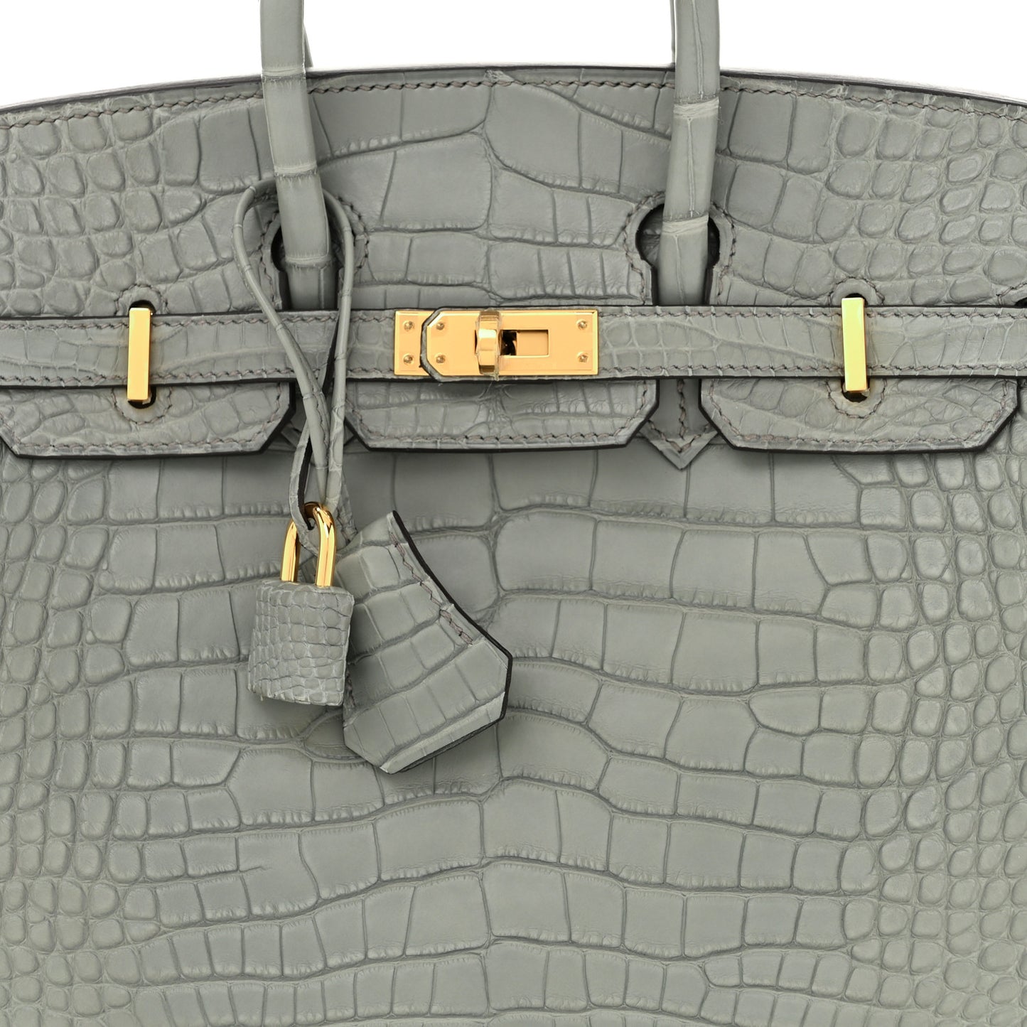 Matte Alligator Birkin 25 Gris Ciment