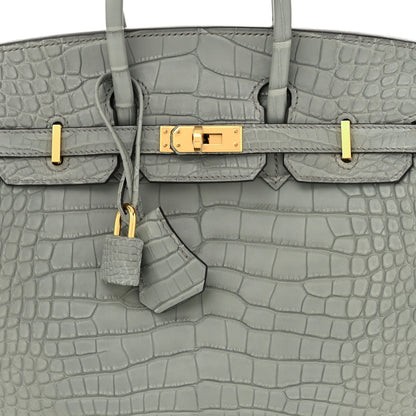 Hermes Matte Alligator Birkin 25 Gris Ciment 8 of 11