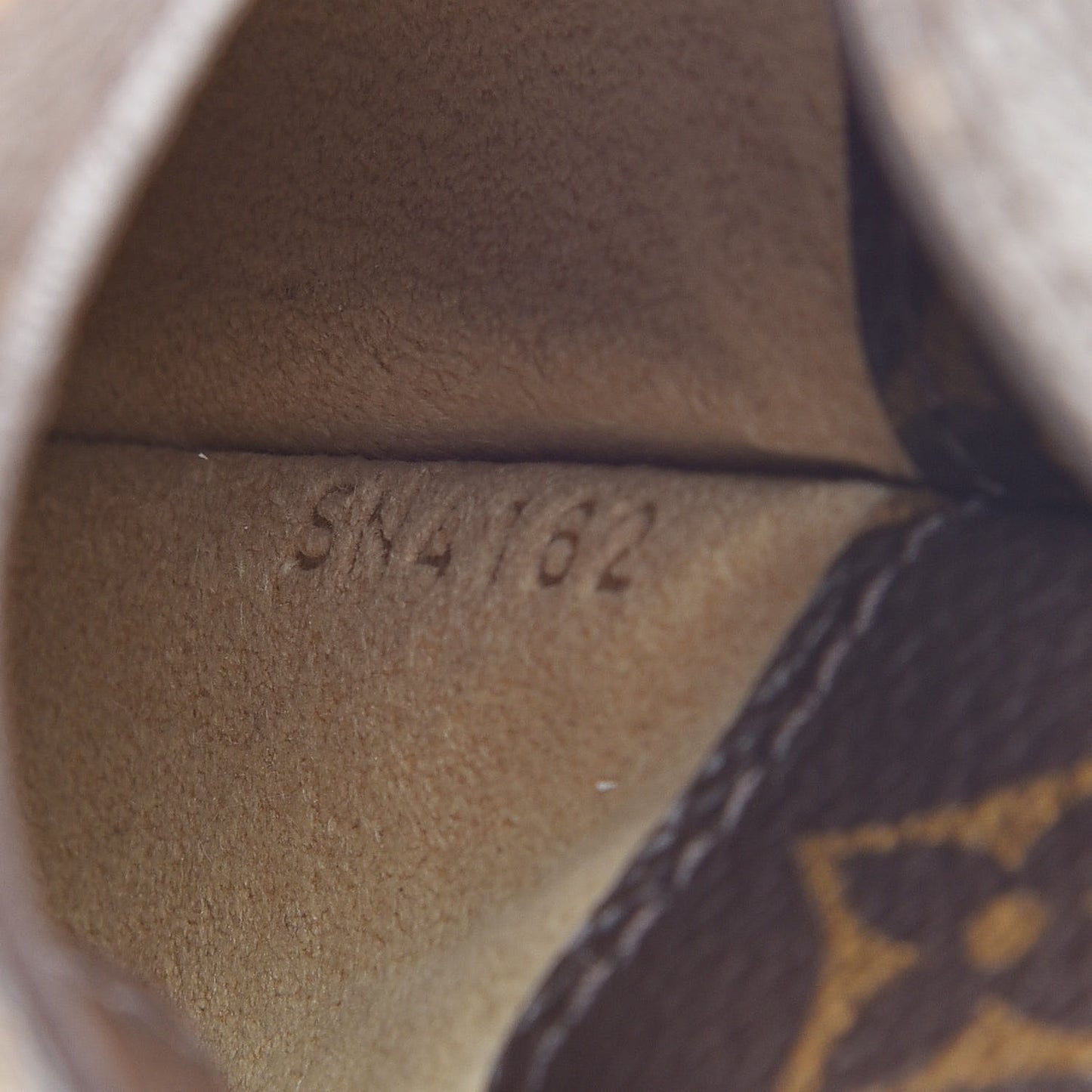 Monogram Sunglasses Case MM