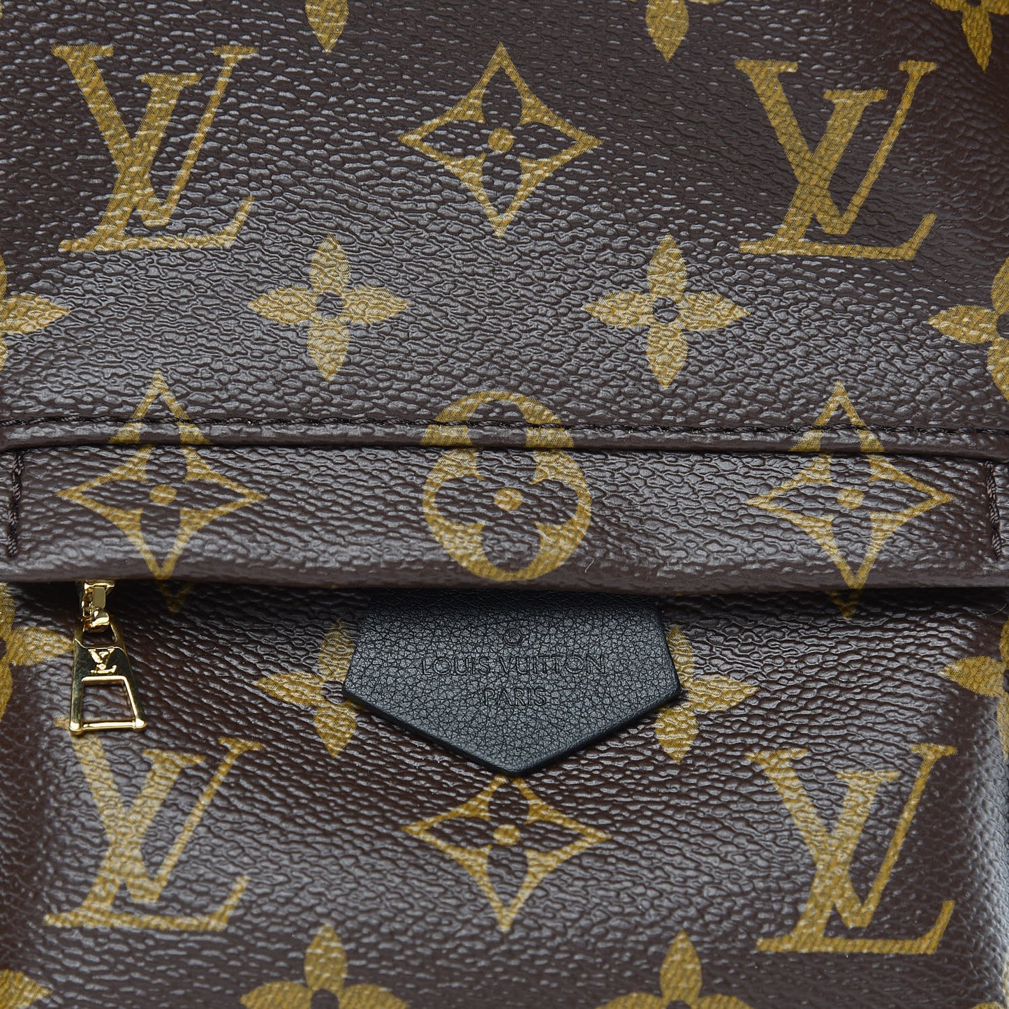 Monogram Palm Springs Backpack Mini