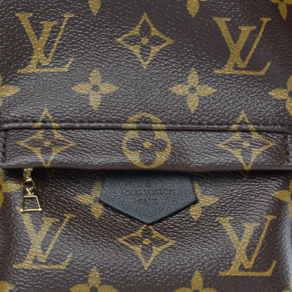 Louis Vuitton Monogram Palm Springs Backpack Mini 7 of 8