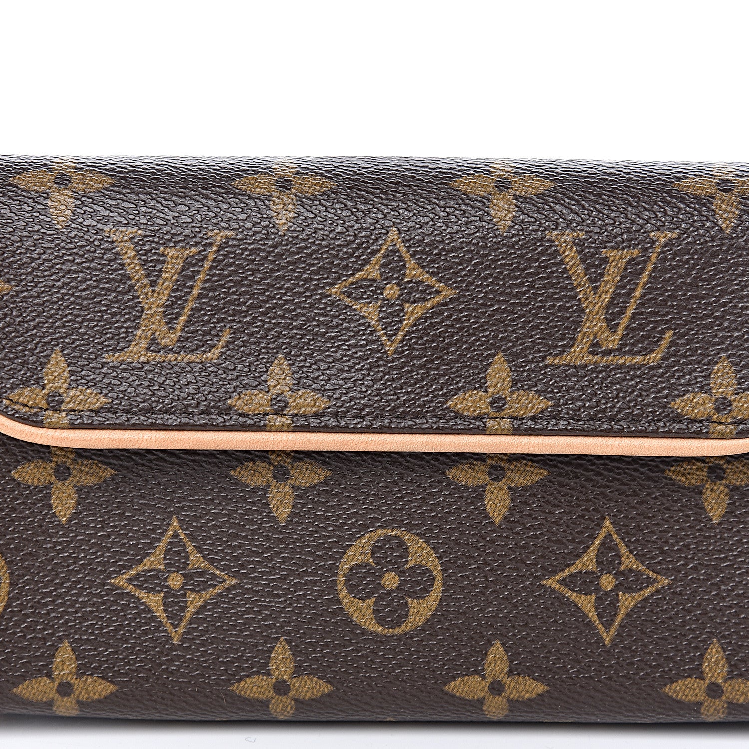 Louis Vuitton Monogram Pochette Florentine L 8 of 10