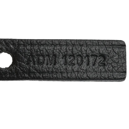 Goyard Goyardine Saint Louis PM Black 9 of 13