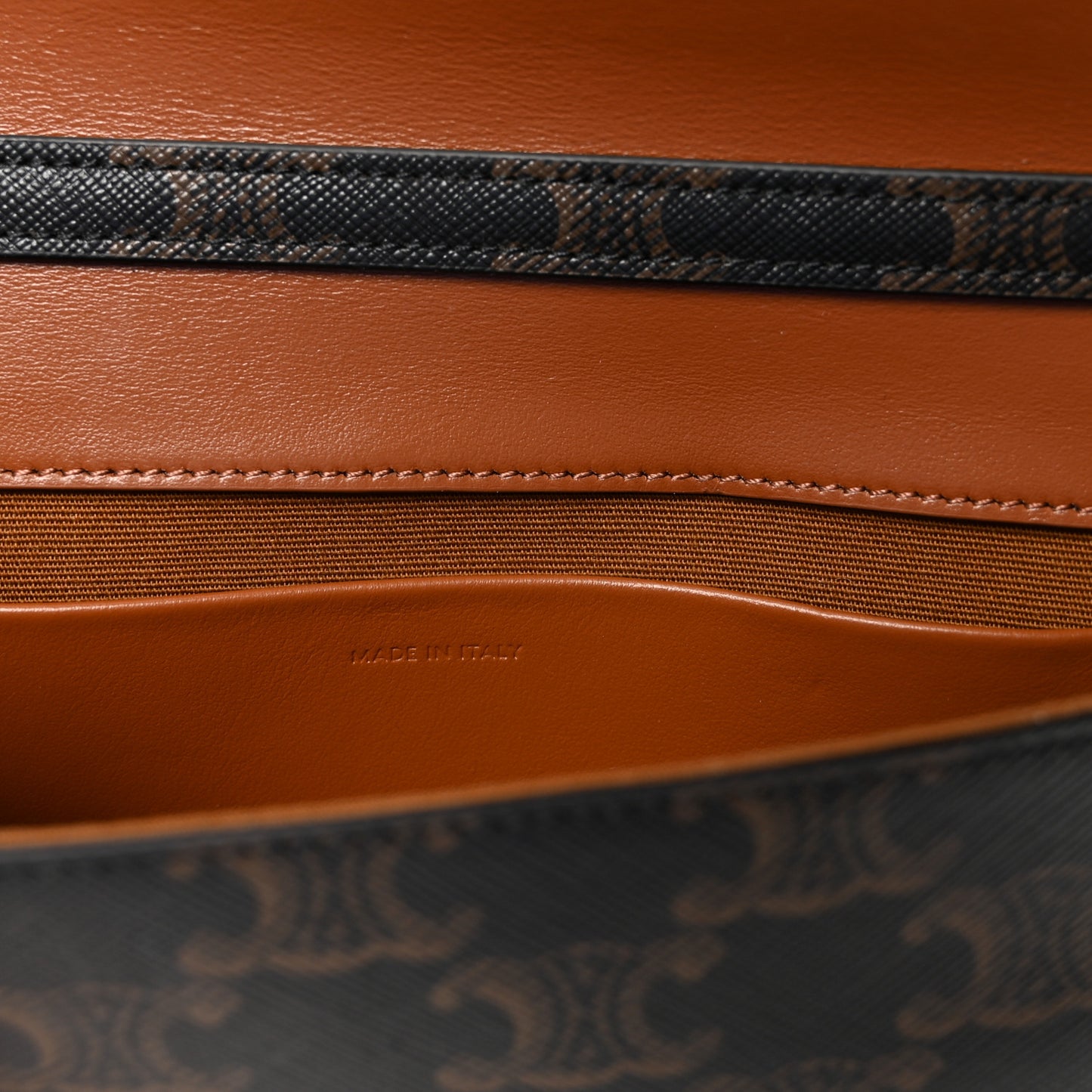 Triomphe Canvas Multipochette Tan