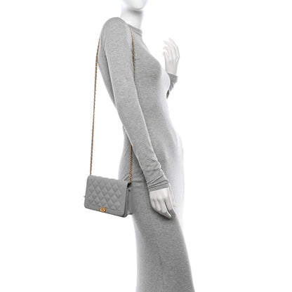 Chanel Caviar Quilted Boy Wallet On Chain WOC Grey 3 of 12
